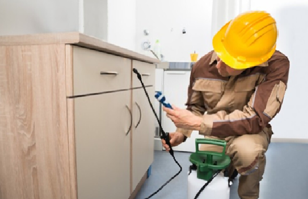 Dead animal removal Sydney